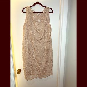 Adrianna Pappell nude lace sheath dress